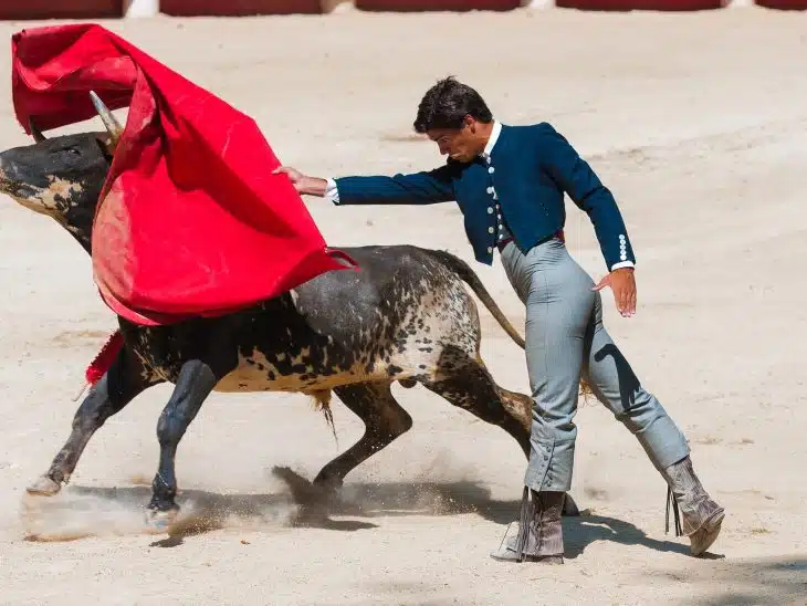 Le rouge excite-t-il les taureaux ?