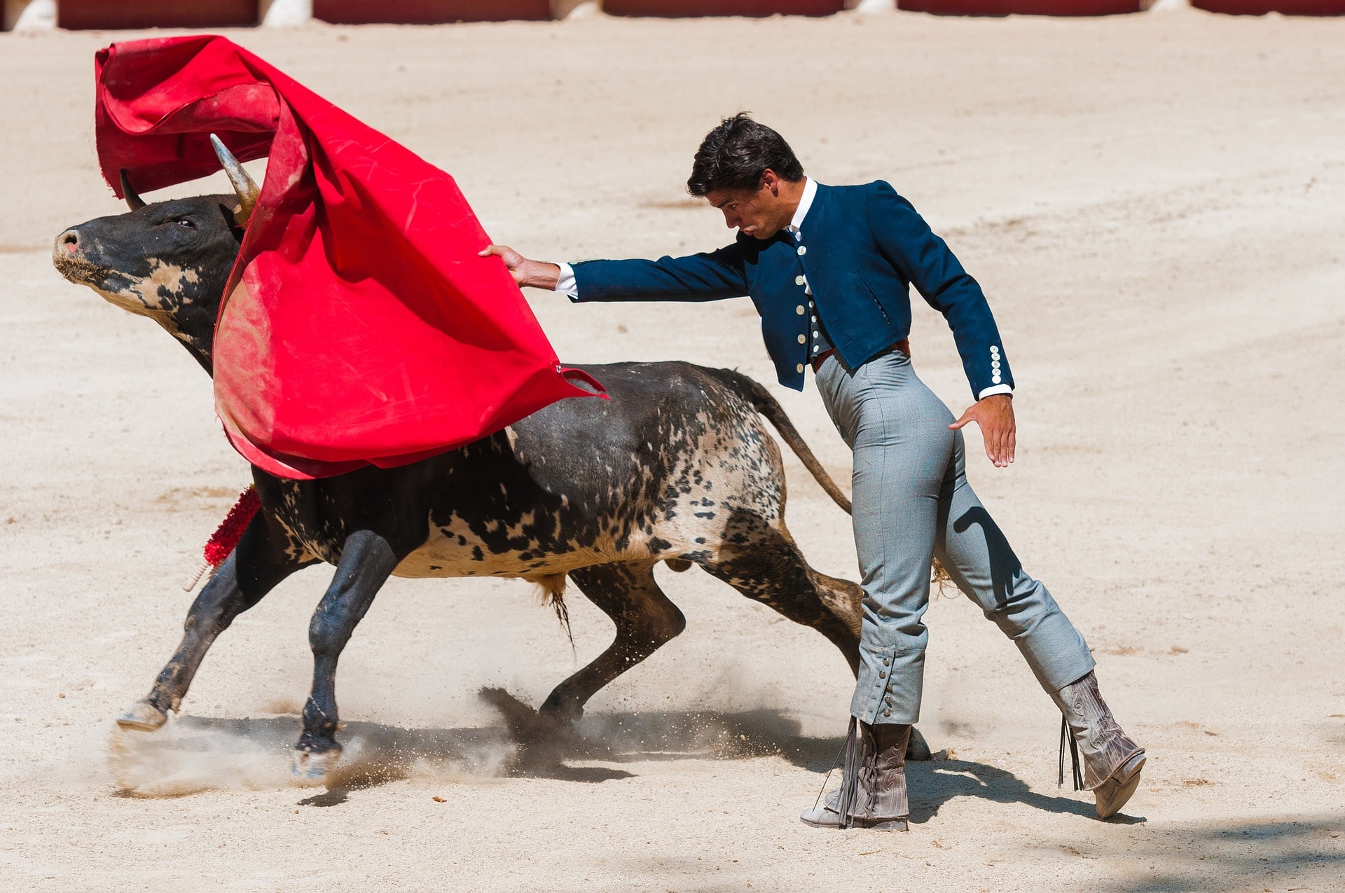 Le rouge excite-t-il les taureaux ?